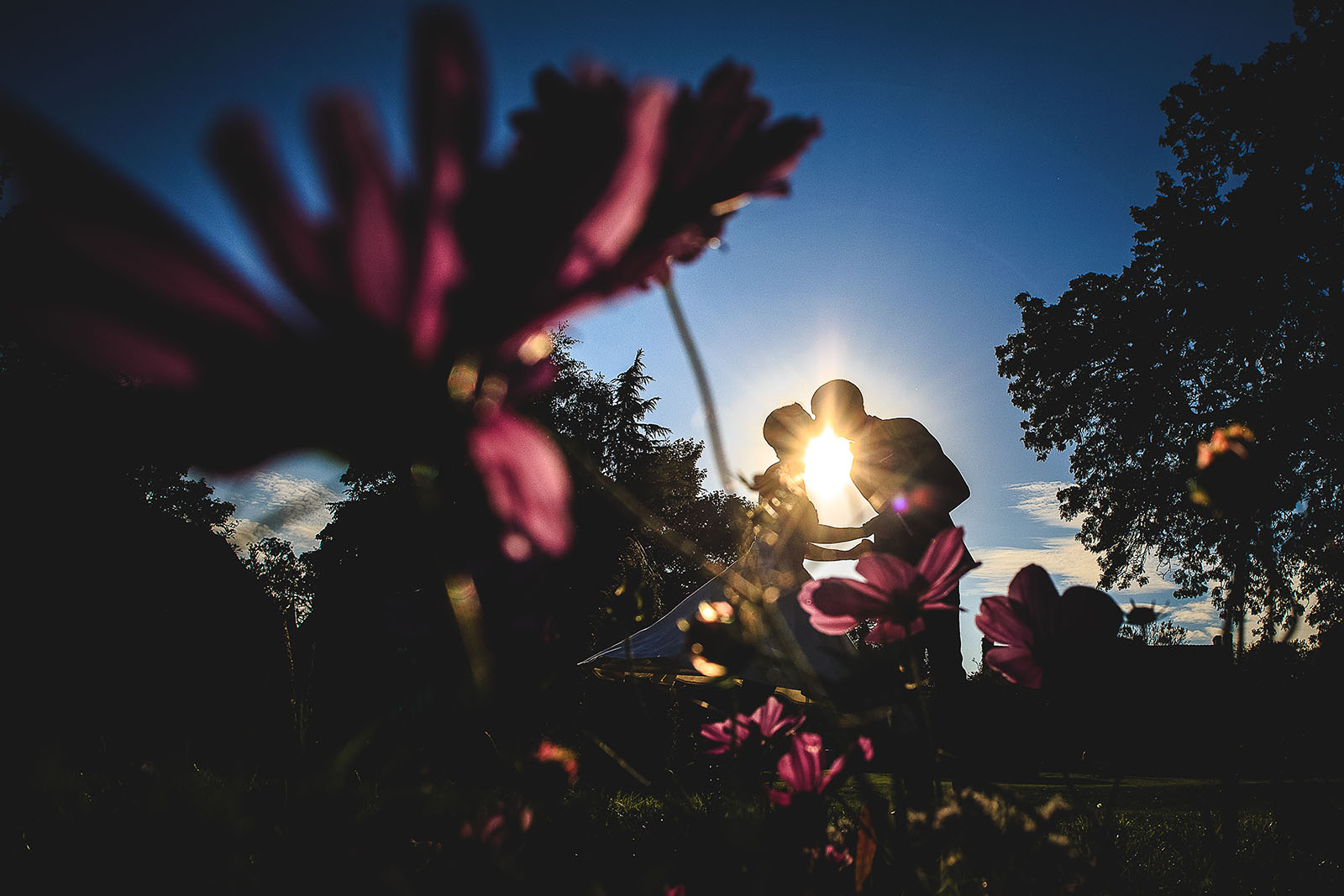 Mariage Manoir des Prévanches. David Pommier photographe de mariage. Magnifique photo de couple à contre jour à travers les fleurs