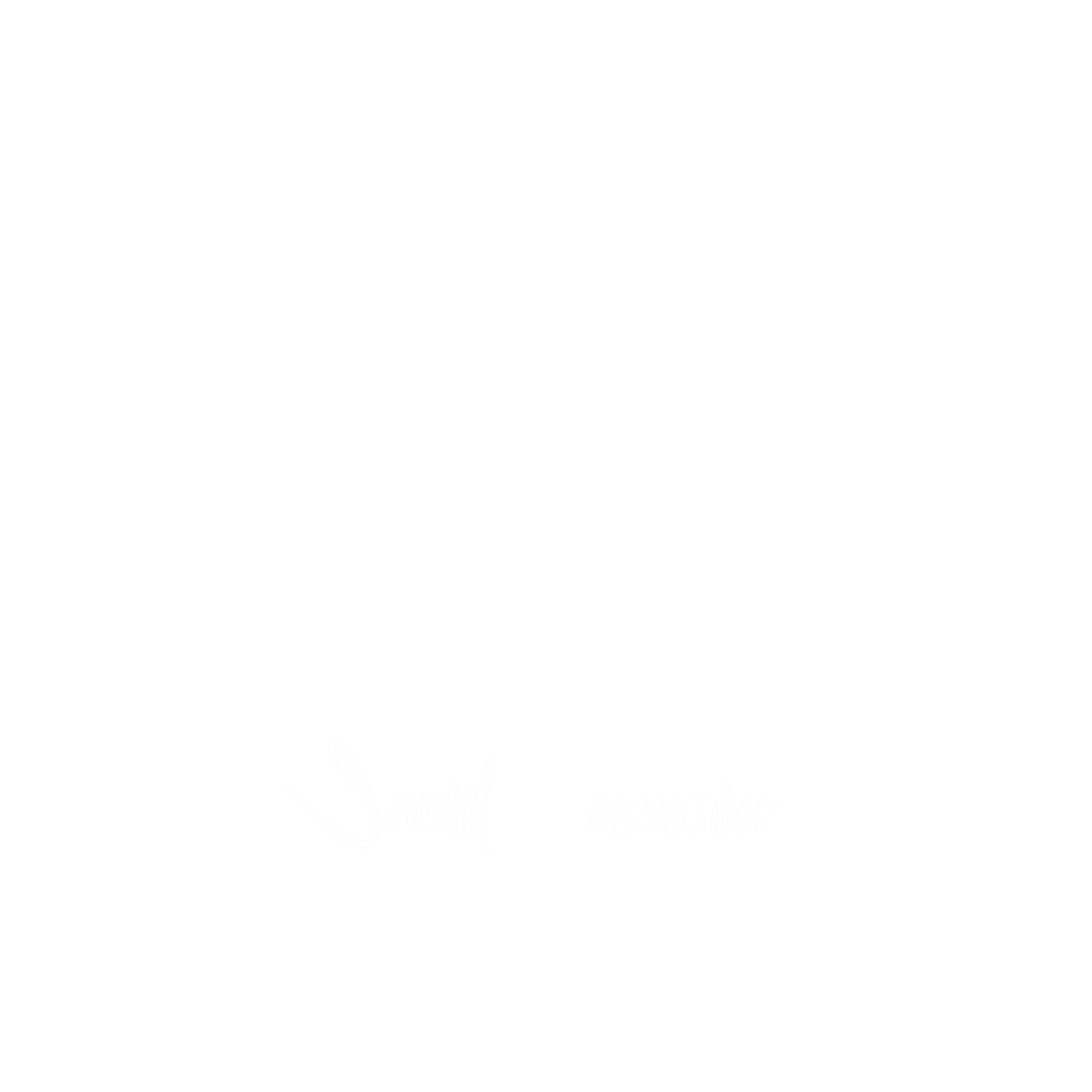 Logo du site de David POMMIER, photogra